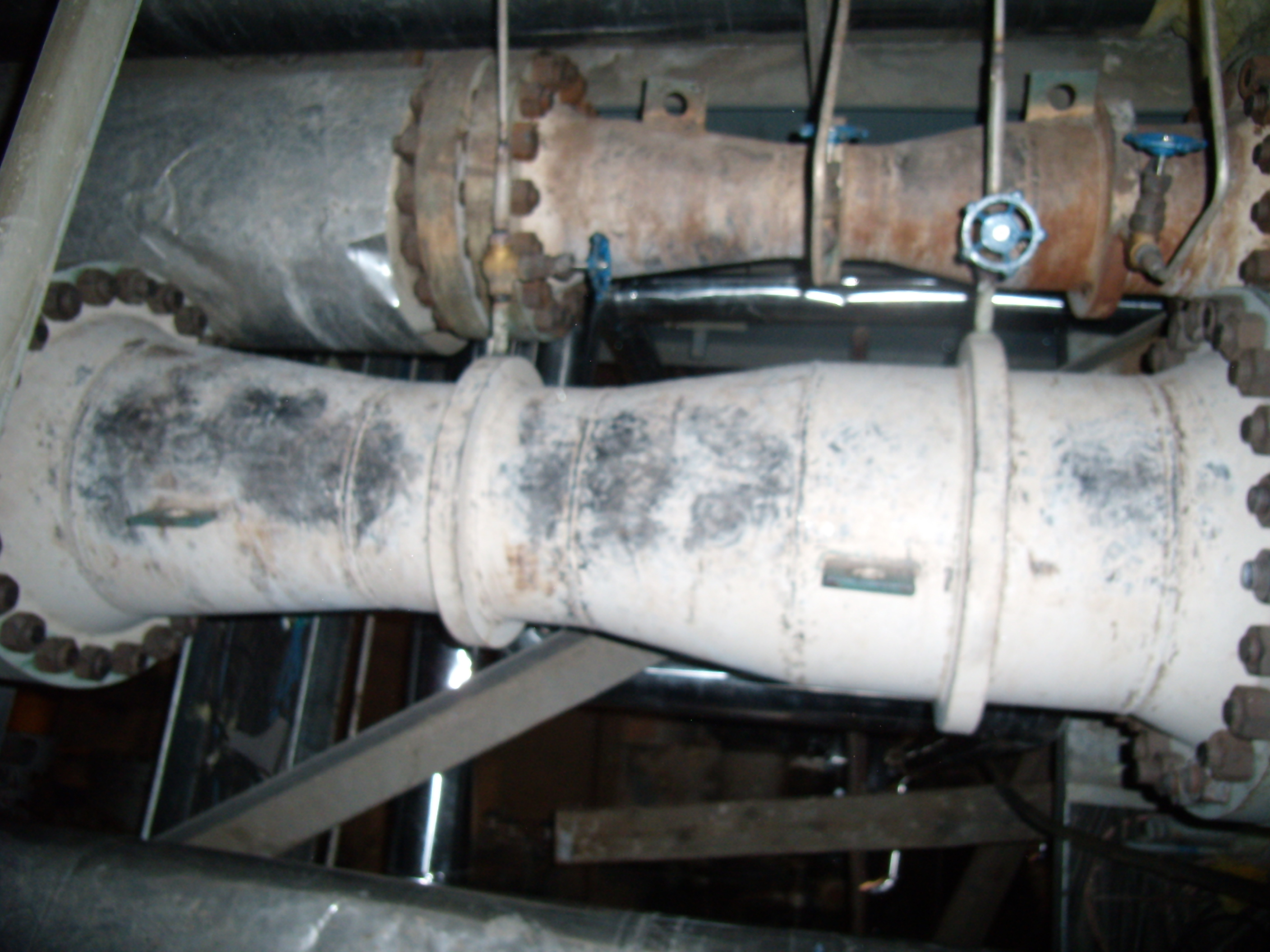 P6100146.JPG P6100146.JPG